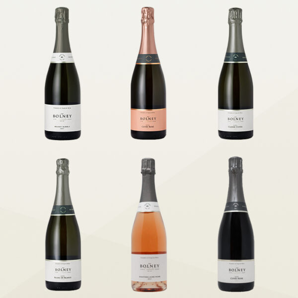 Sparkling Mixed Wine Case