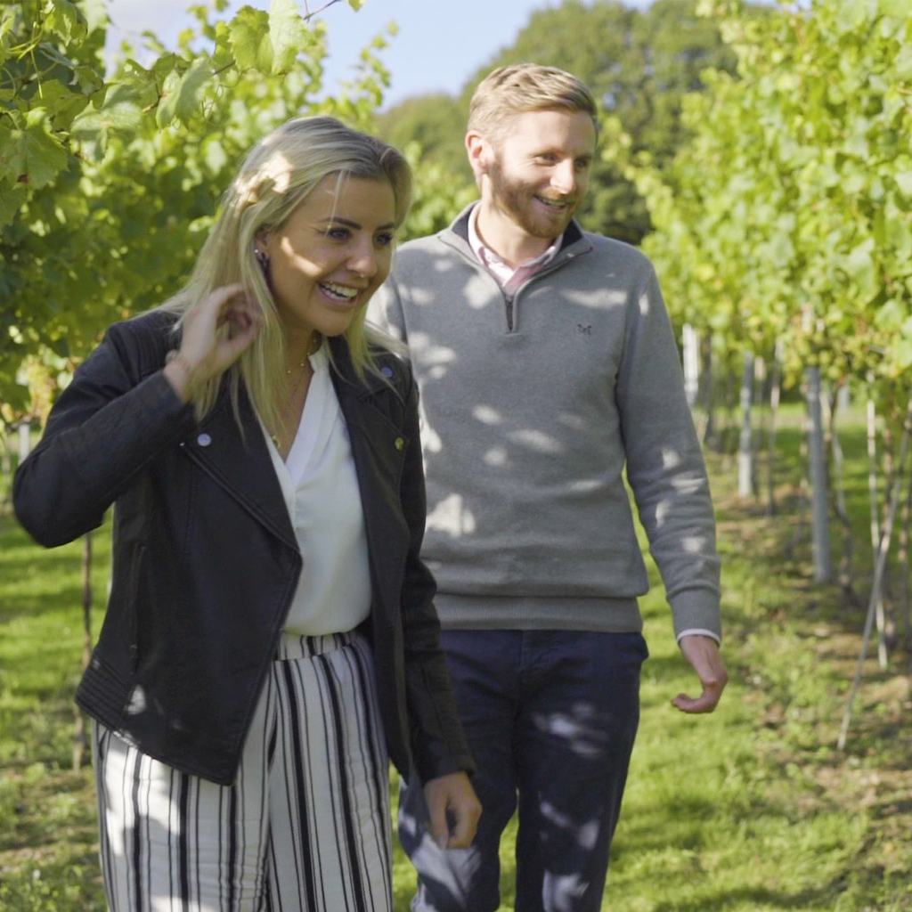 Vineyard tour illustration