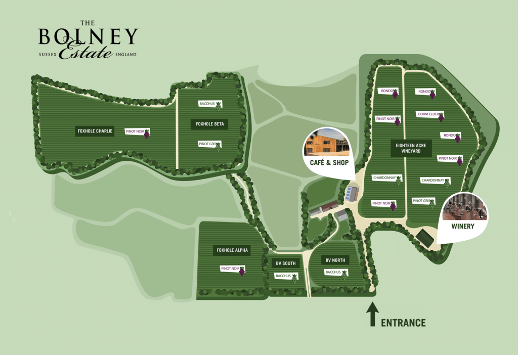 Map of Bolney Wine Estate in West Sussex