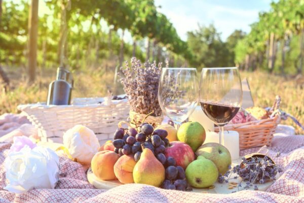 Picnic with wine on the grass at a vineyard