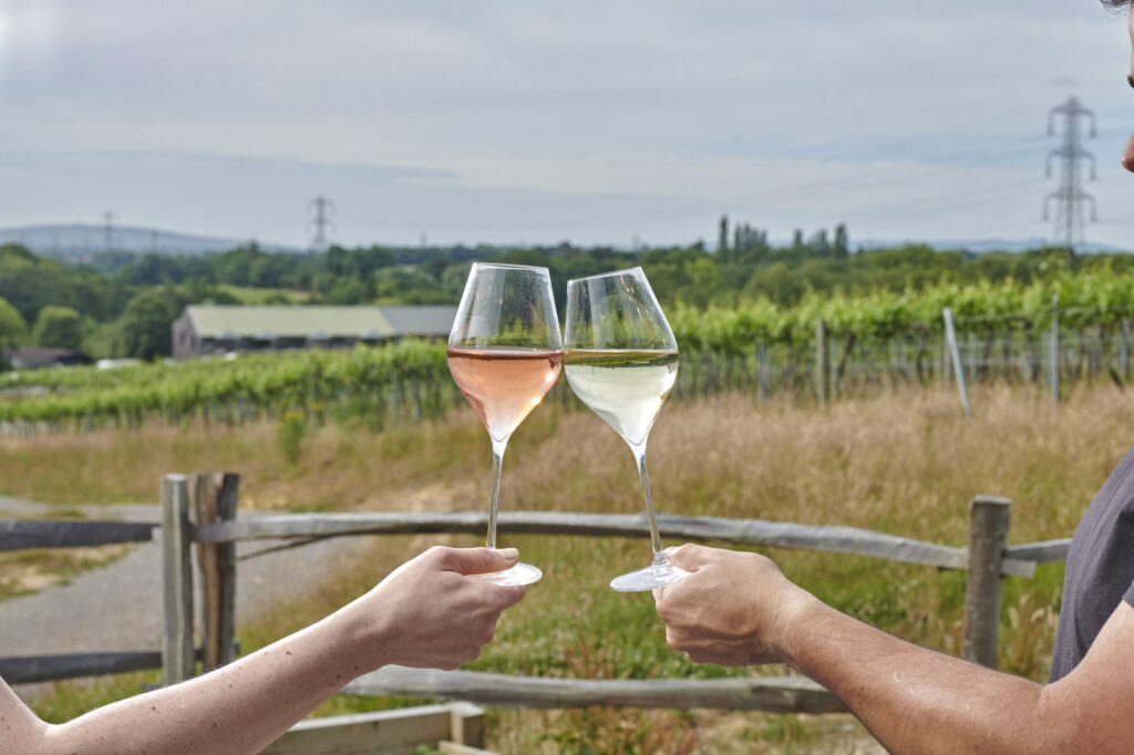 2 glass of sparkling wine in front of vineyards