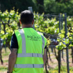 A man in a high-vis jacket touring new vines at Bolney Wine Estate