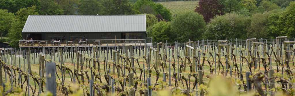 The Bolney Estate Sussex with budding vines in spring