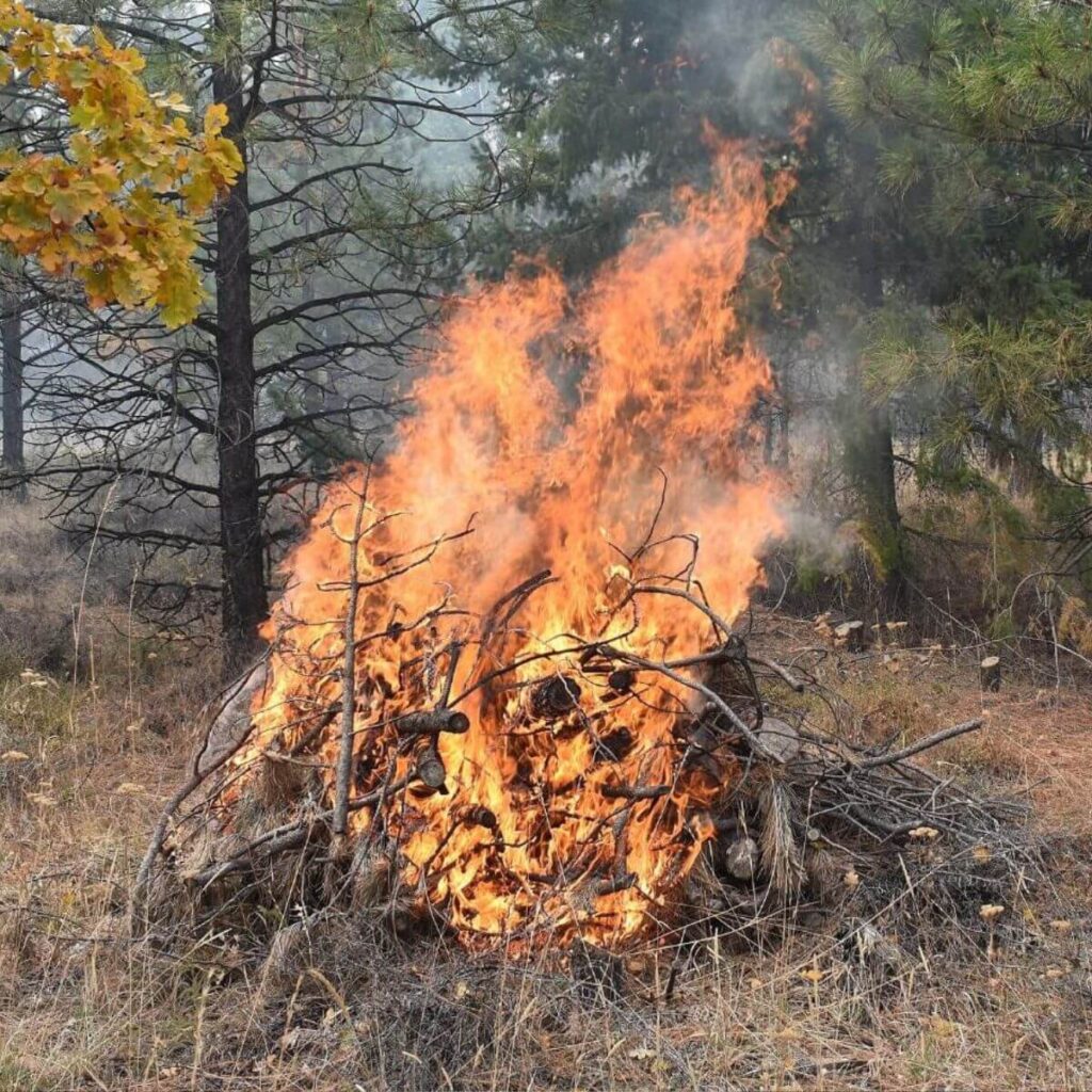 Brush pile on fire