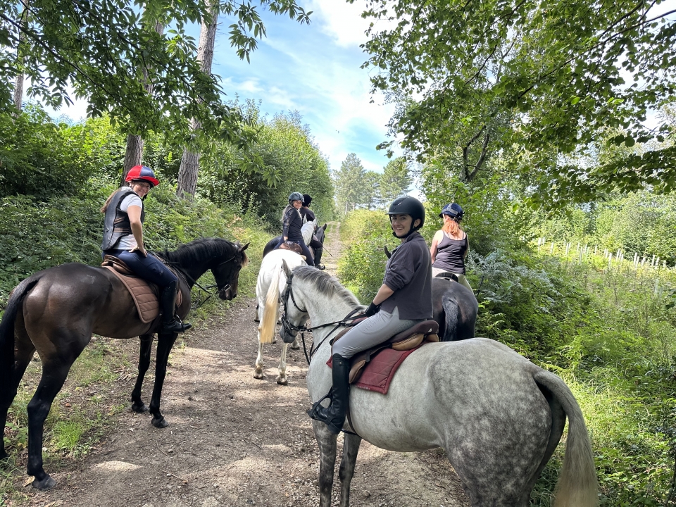Horse riding trek West Sussex