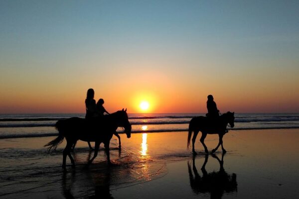 Horseriding in the sunset on the beach