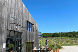 Bolney Cafe and vines in Spring