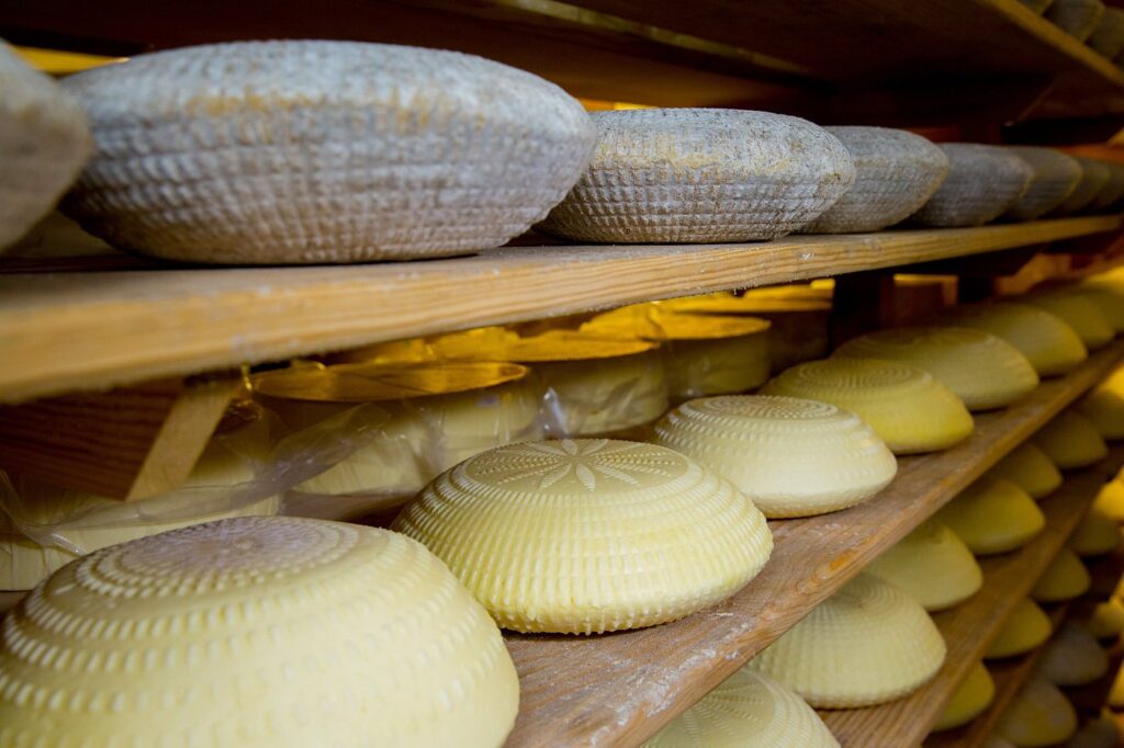 Cheese at Sussex High Weald Dairy