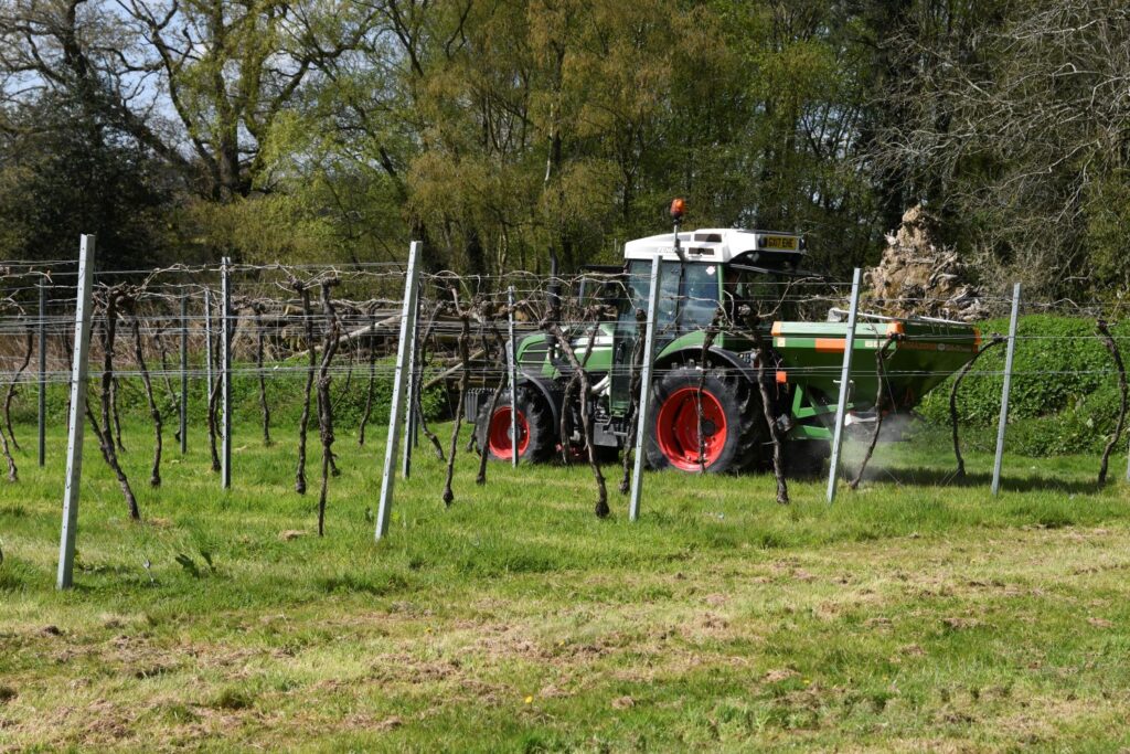 Springtime work at an English vineyard