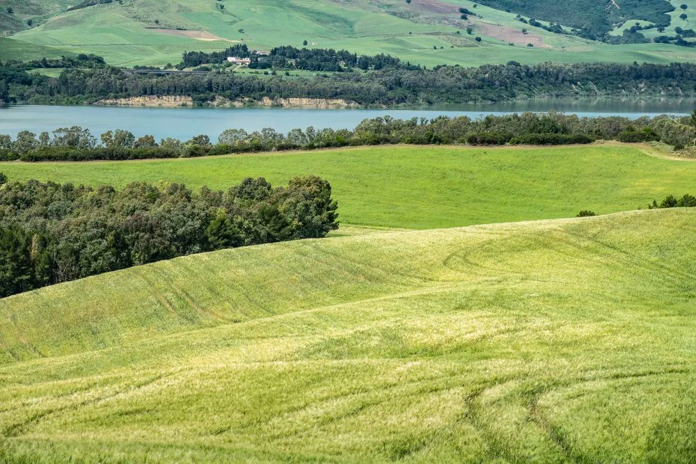 Green fields and water in the Sussex countryside