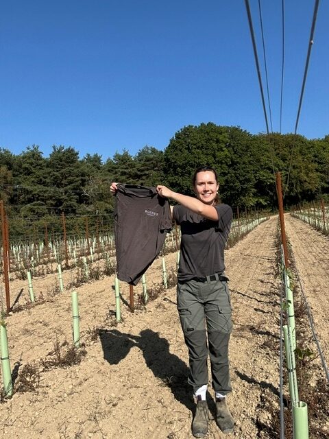 A lady in a vineyard team holding a cotton Bolney T-shirt next to the vines